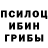Псилоцибиновые грибы Psilocybe Bahram Karoboev