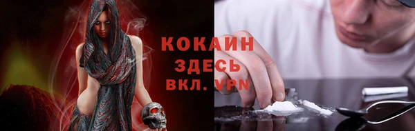 mdpv Белокуриха