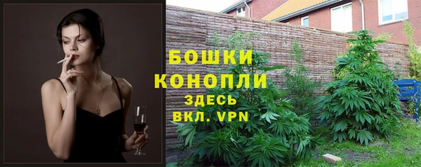 spice Баксан