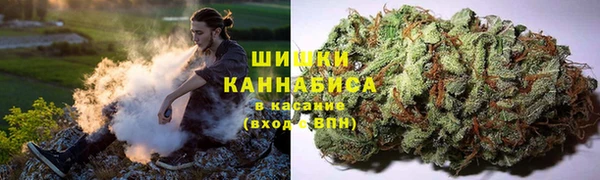 mdpv Белокуриха